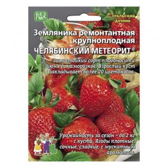 Земляника Челябинский метеорит - ремонтантная, 10 шт. (УД)