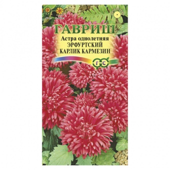 Астра Эрфуртский карлик Кармезин, однолетняя (красная) 0,3 г (Гавриш)