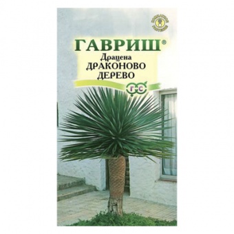 Драцена Драконово Дерево 3 шт. (Гавриш)