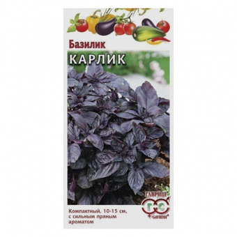 Базилик Карлик, фиолетовый 0,1 г (Гавриш)