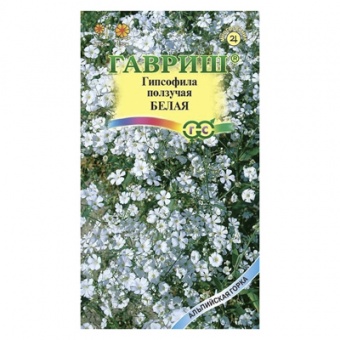 Гипсофила ползучая, Белая* 0,05 г (Гавриш)