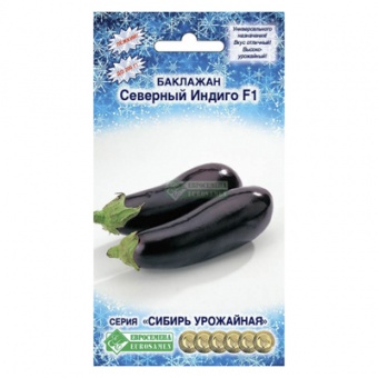 Баклажан Северный Индиго F1 (7 шт)  (ЕС)