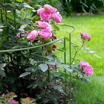 Кустодержатель металл в пвх проволока d-5 мм h-0,6 м d-0,3 м компл 2 полукруга 'Урожайная сотка'