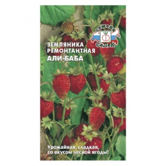 Земляника Али-Баба (СеДек)