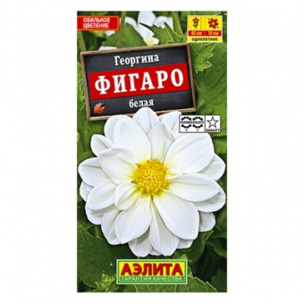Георгина Фигаро махровая белая  7шт (Аэлита)
